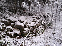 Ограда погоста на Кривозере. Фото участников велопохода на оз. Кривозеро, 2007 г.
