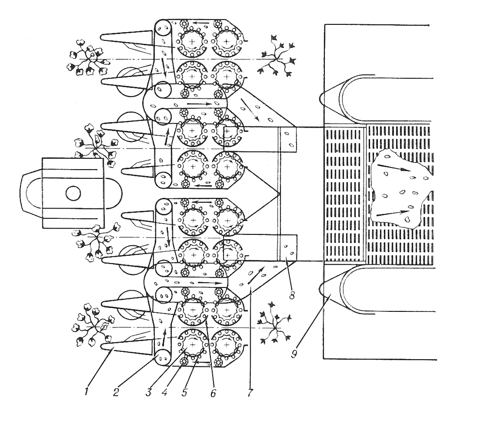 Технологическая схема работы хлопкоуборочной машины 1 кустоподъемник 2  приёмная камера 3 шпиндельный барабан 4 съёмник 5 зона съёма хлопка 6  рабочая зона 7 всасывающий воздуховод 8 вентилятор 9 бункер
