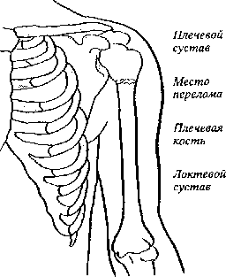 Укушенная рана голени карта вызова смп