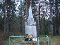 Памятник погибшим в Великой Отечественной войне, д. Оснополье.