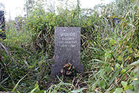 Могила В.Н. Иванова на кладбище «Памяти жертв 9-го января» в г. Санкт-Петербурге